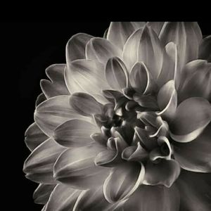 I AM UP 4 TRADES JUST ASK IT DOESN'T HURT.